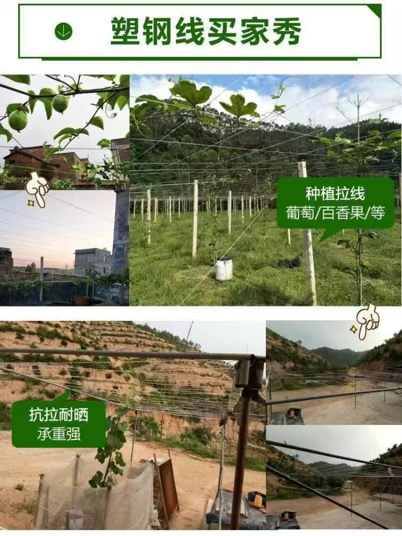 塑钢线品质保证服务周到欢迎老板前来联系
