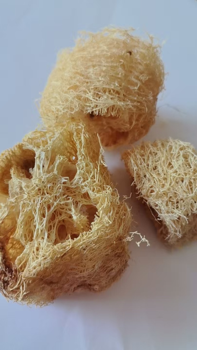 《精品》丝瓜络大量有货精选药材品质保证可视频看货