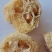 《精品》丝瓜络大量有货精选药材品质保证可视频看货