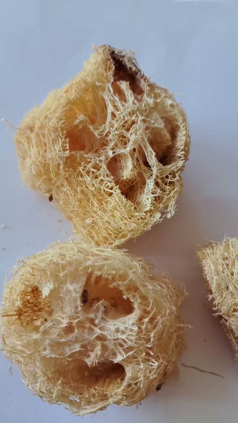 《精品》丝瓜络大量有货精选药材品质保证可视频看货