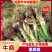 【大蒜】通许把子蒜紫皮蒜鲜蒜供应市场电商商超