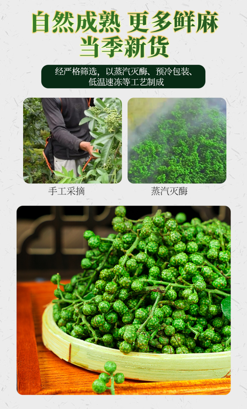 重庆江津青花椒冷冻鲜青花椒麻椒藤椒粒贴牌批发一件代发厂家