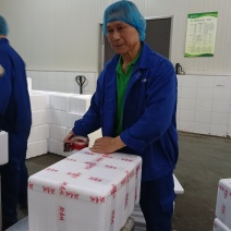 重庆江津九月青花椒麻椒藤椒冷冻鲜花椒商用批发贴牌