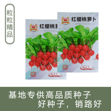 批发红樱桃萝卜种子菜种萝卜种子