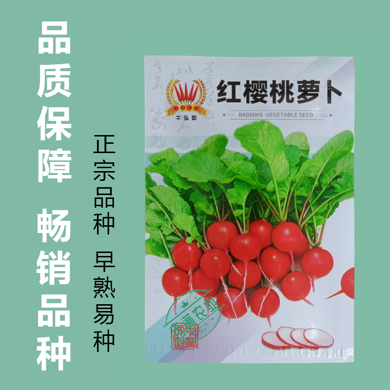 批发红樱桃萝卜种子菜种萝卜种子