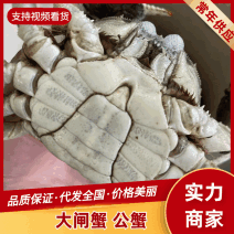 大闸蟹洪湖清水蟹规格齐全包邮公蟹河蟹螃蟹量大价优