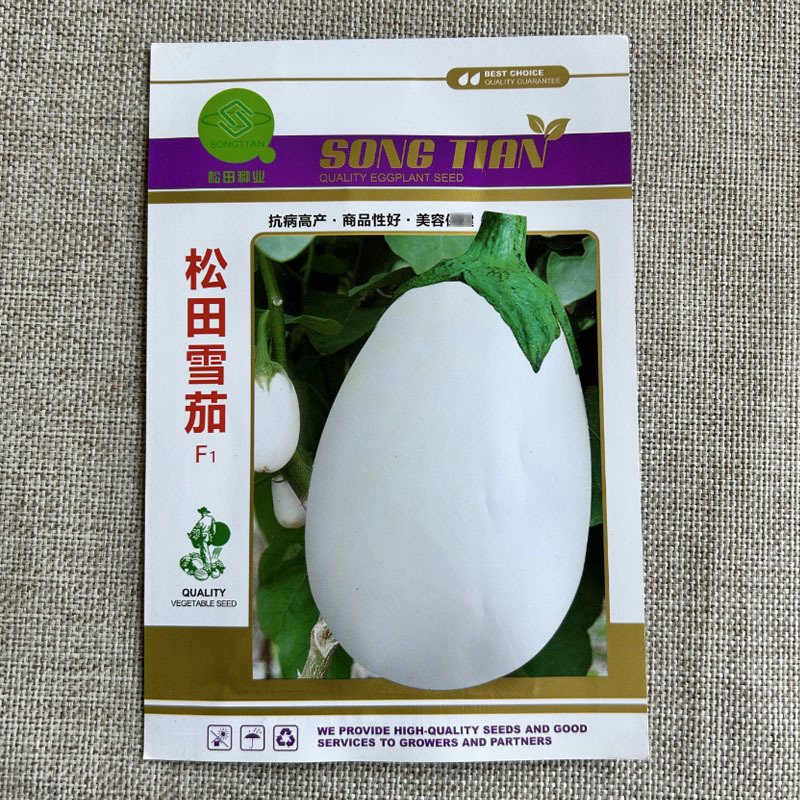 奶油白茄子种子松田雪茄籽早熟早熟乳白色四季种植