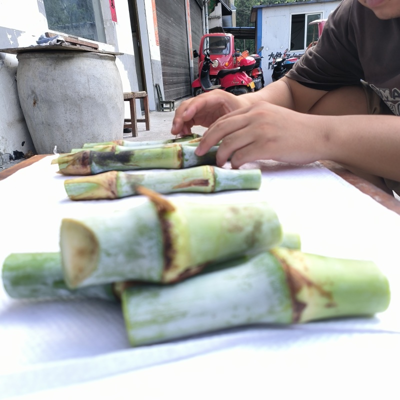 贵州牧草王牧草王种苗提供技术指导可送货上门