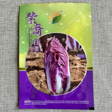 紫裔紫白菜种子大白菜原装1000粒春秋栽培大田基地种