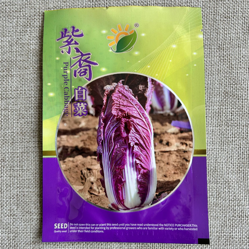 紫裔紫白菜种子大白菜原装1000粒春秋栽培大田基地种