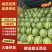 山东泗水大棚甜王西瓜量大从优质量保证欢迎咨询