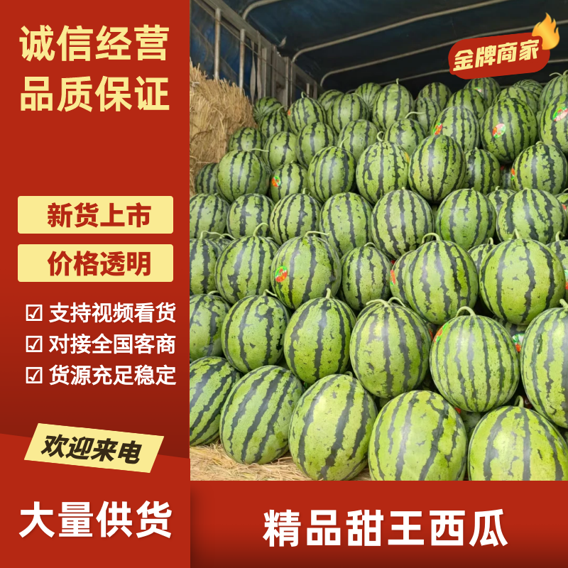 山东泗水大棚甜王西瓜量大从优质量保证欢迎咨询