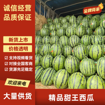 山东泗水大棚甜王西瓜直发，视频看货，对接商超市场