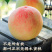 【5-6两】无锡水蜜桃新鲜水果现摘现发整箱包邮
