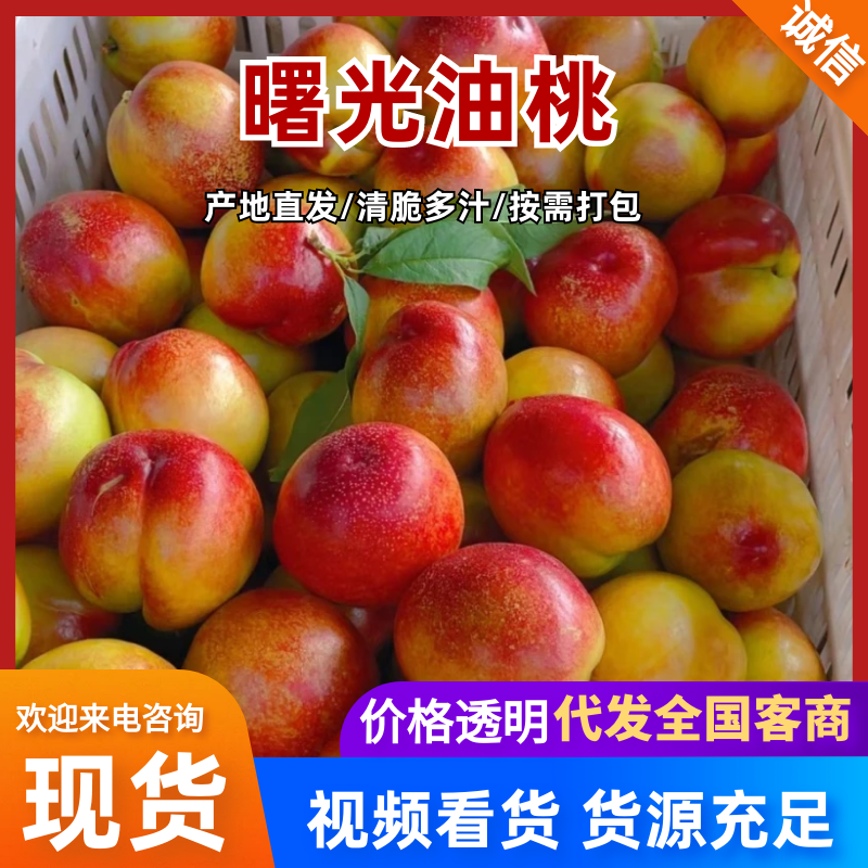 曙光油桃大量上市中，可供商超，电商市场批发，产地一手货源