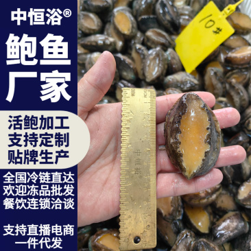 活冻鲍鱼水产海鲜商用超市酒店宴席火锅炖盅食材10头批发