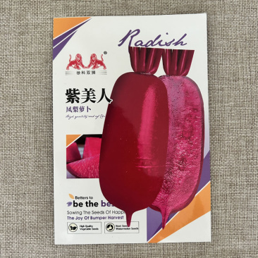 紫美人凤梨水果萝卜种子红心红皮红肉甜脆水分多可以生吃
