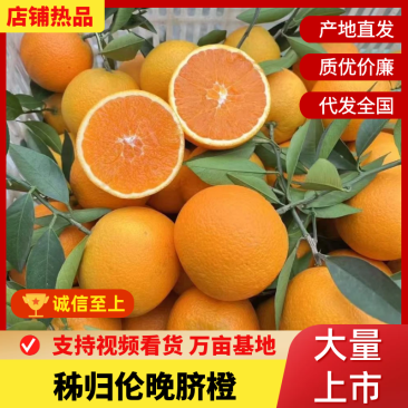 湖北伦晚脐橙大量现货供应，规格齐全，对接电商市场批发商