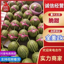 全美2K西瓜/江苏小糖丸/小糖丸西瓜-对接全国包熟包甜