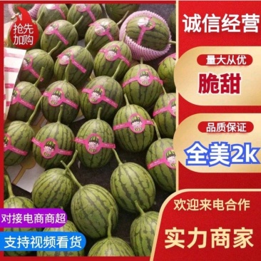 全美2K西瓜/江苏小糖丸/小糖丸西瓜-对接全国包熟包甜
