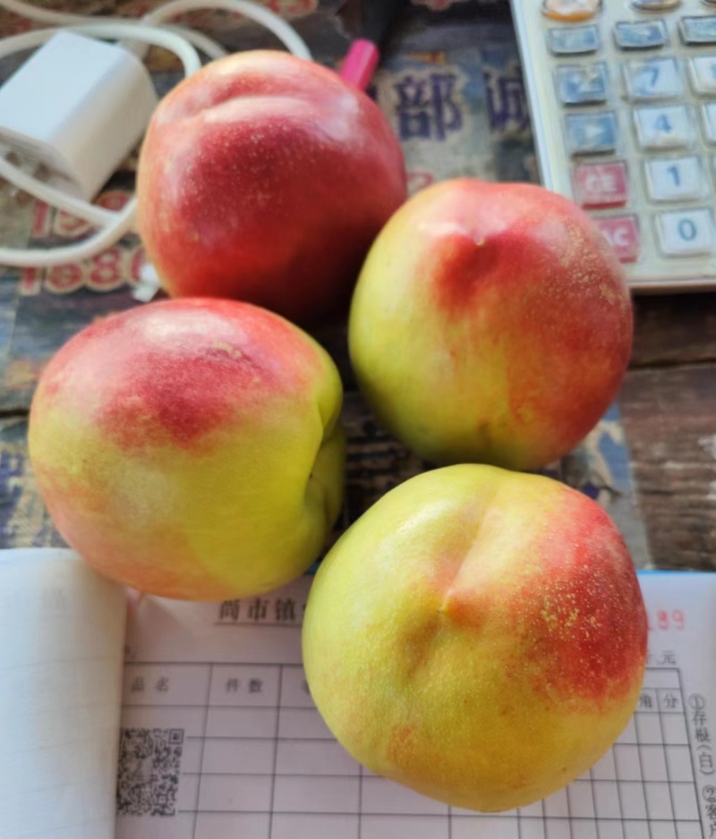 曙光油桃襄阳油桃口感好水份足对接商超电商社区团购等