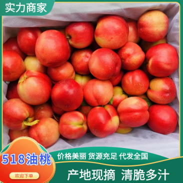 518油桃518珍珠油桃基地直供品种齐全价格优惠