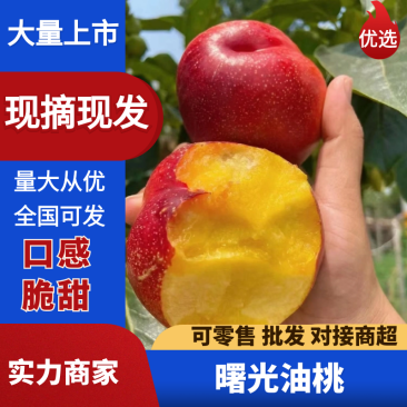 曙光油桃黄肉油桃产地直供果肉脆甜果皮干净光滑