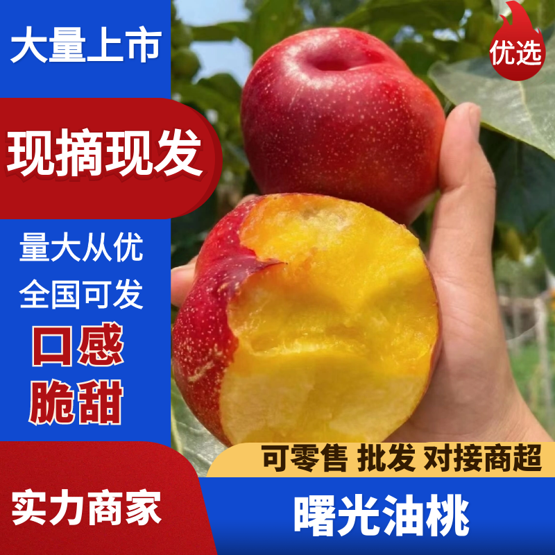 曙光油桃黄肉油桃产地直供果肉脆甜果皮干净光滑