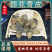 《精品》四花青皮大量有货精选药材品质保证可视频看货