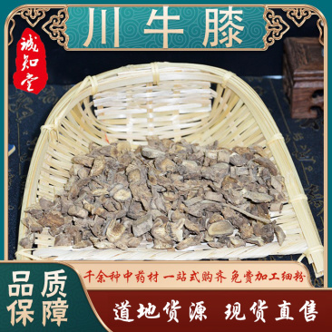 《精品》川牛膝大量有货精选药材品质保证可视频看货