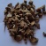 《精品》川牛膝大量有货精选药材品质保证可视频看货