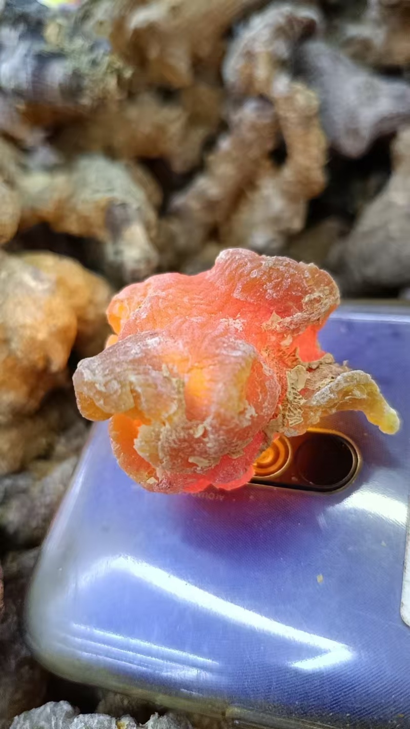 琥珀三七琥珀竹节参熟制竹节参当季新货一件代发