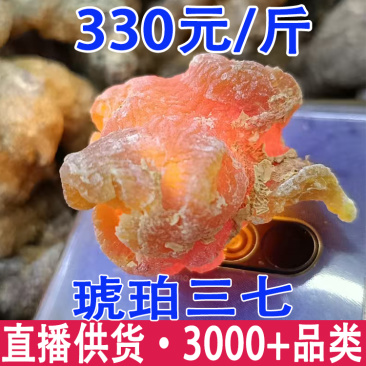 琥珀三七琥珀竹节参熟制竹节参当季新货一件代发