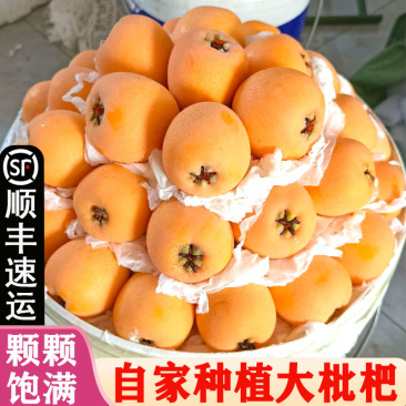 五星甜枇杷当季水果新鲜大果整箱包邮