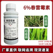 6%春雷霉素稻瘟病农药杀菌剂