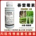 6%春雷霉素稻瘟病农药杀菌剂