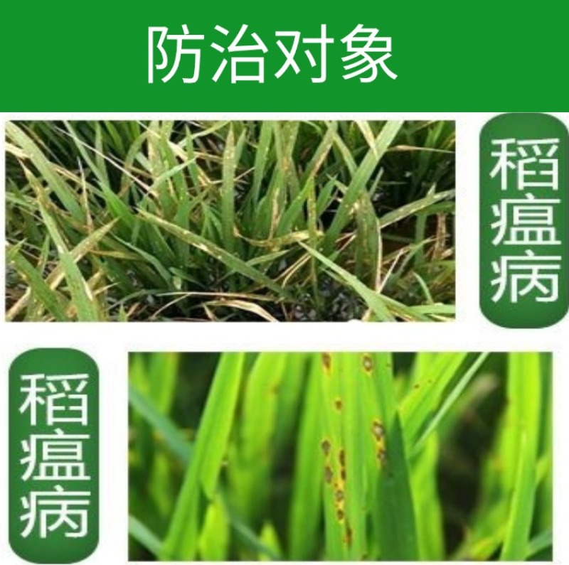 6%春雷霉素稻瘟病农药杀菌剂