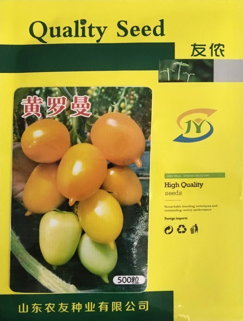 黄罗曼小番茄种子单果120克左右大果好吃口感好耐运输北蔬