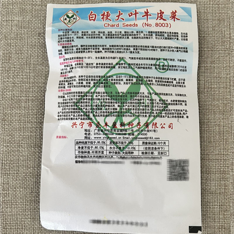 牛皮菜种子四季大叶根达菜籽厚皮菜春秋种植耐寒种植