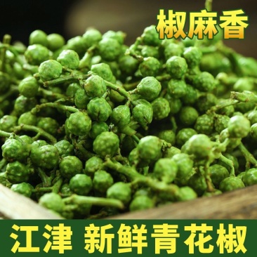 2025新上市生花椒酱原材料湿花椒干花椒青花椒麻椒藤