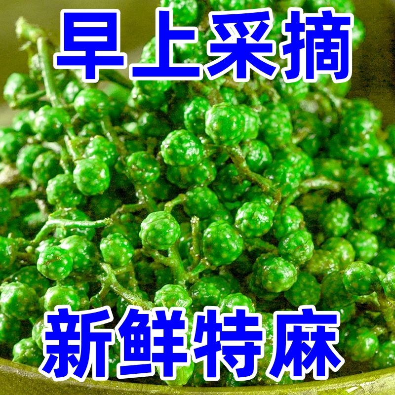 2025新上市生花椒酱原材料湿花椒干花椒青花椒麻椒藤
