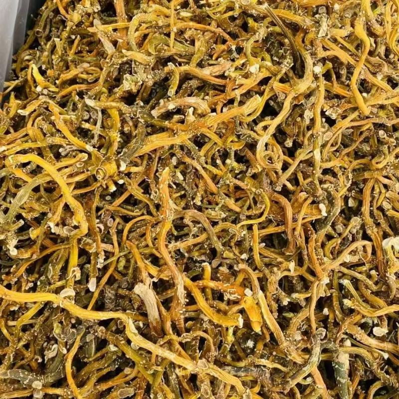 云南玉竹蔵玉竹野生玉竹云南玉竹蔵玉竹野生玉竹批发