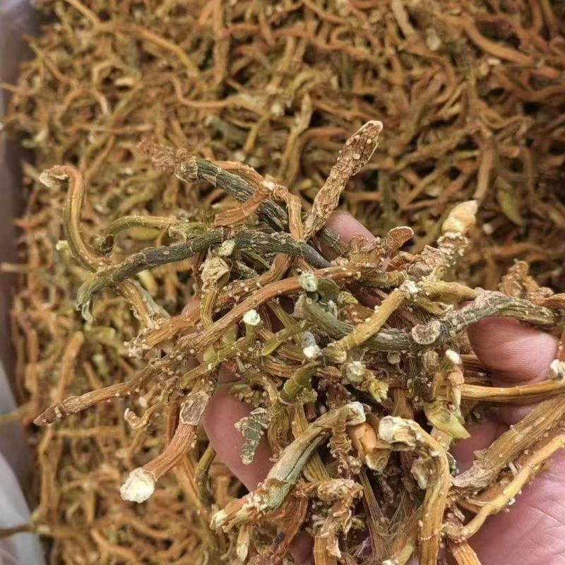 云南玉竹蔵玉竹野生玉竹云南玉竹蔵玉竹野生玉竹批发