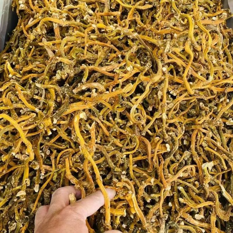 云南玉竹蔵玉竹野生玉竹云南玉竹蔵玉竹野生玉竹批发