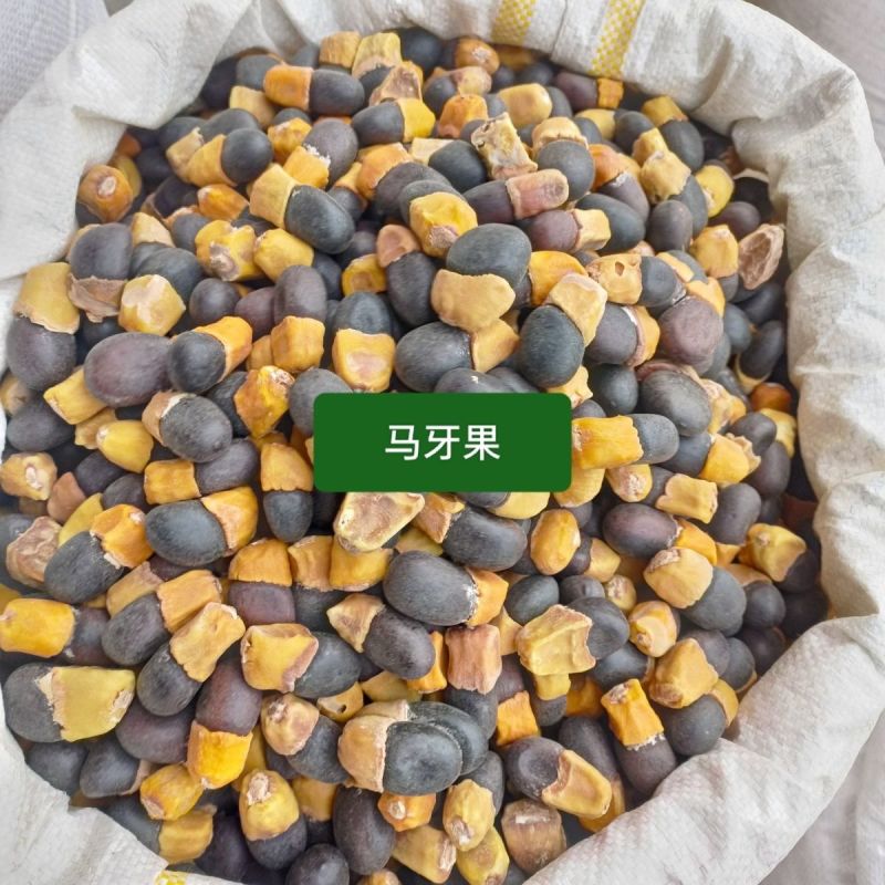 马牙果正宗缅茄菩提子阴阳果马牙果正宗缅茄菩提子阴阳果批发