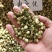 中药材山茶花红茶花珠山茶干花山茶花批发花茶