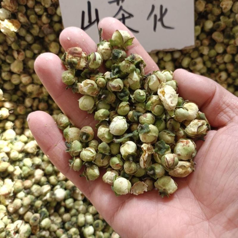 中药材山茶花红茶花珠山茶干花山茶花批发花茶