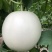 玉菇软糯香甜，电商通货精品大量上市，每天100万斤