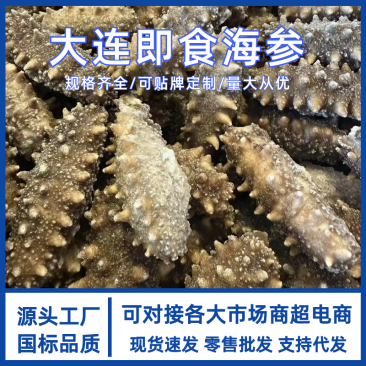 【精品推荐】良心品质辽参淡干海参底波海参500克泡发货足价低