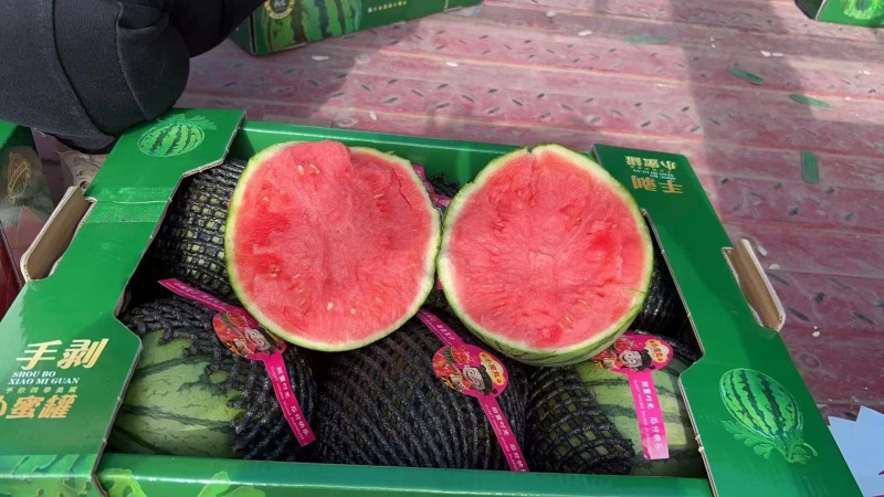 陕西一手货源小吊瓜对接全国市场清甜可口品质好热卖